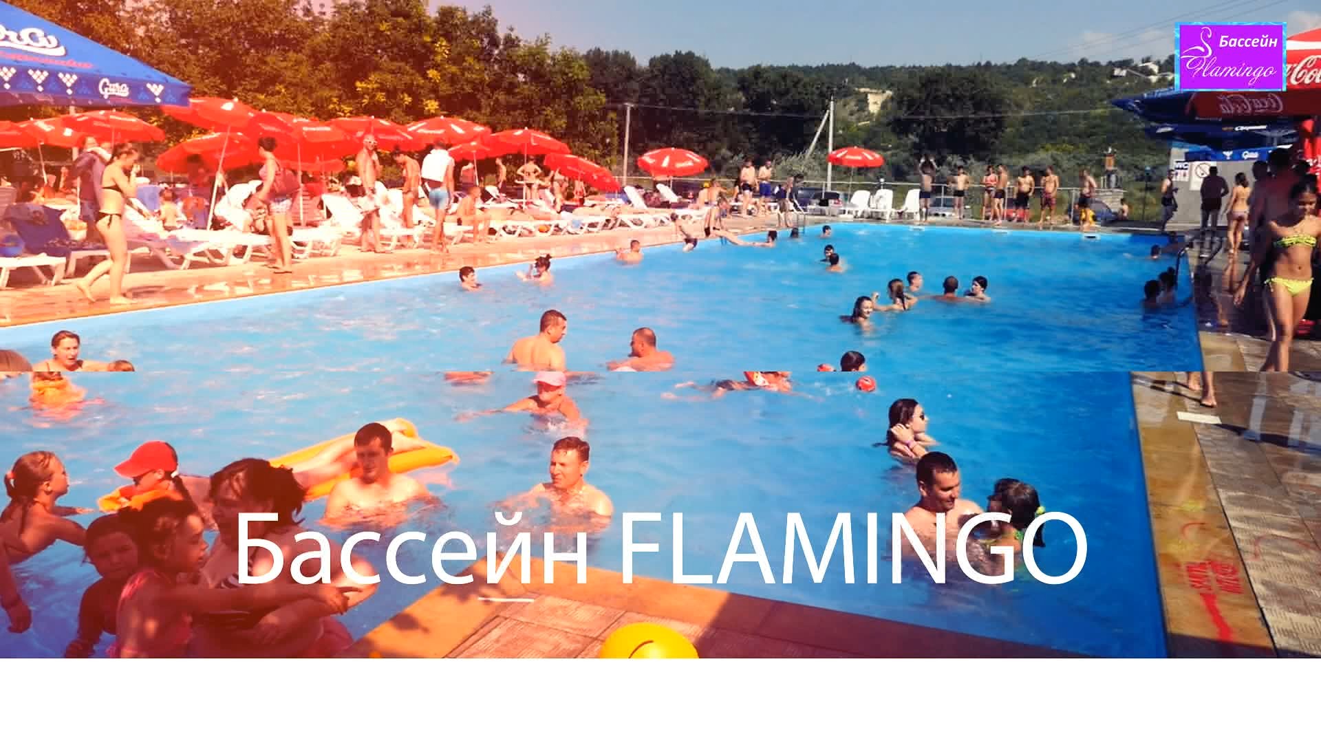 Бассейн FLAMINGO г.Резина – LikTV