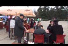 Рыбница-город на Днестре