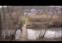 РЕЧКА СТАНЕТ ЧИЩЕ