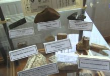 МУЗЕЙ В СОВРЕМЕННОМ МИРЕ