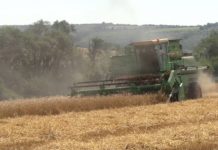 ГОРЯЧАЯ ПОРА ДЛЯ ТРУЖЕННИКОВ ПОЛЕЙ