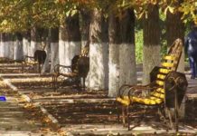 ВЕСЬМА ПРИЯТНО