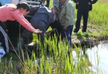 НОВАЯ «ПРОПИСКА» — ОЗЕРО В ГЕРШУНОВКЕ