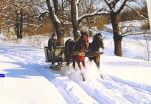 В РЫБНИЦЕ ПРОХОДИТ ВЫСТАВКА «ЭТО НАШЕЙ ИСТОРИИ СТРОКИ»