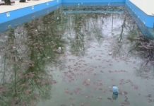 Для чего нужны бутылки в бассейне