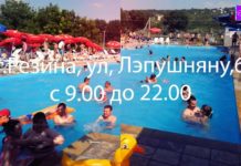 Бассейн FLAMINGO г.Резина