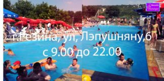 Бассейн FLAMINGO г.Резина