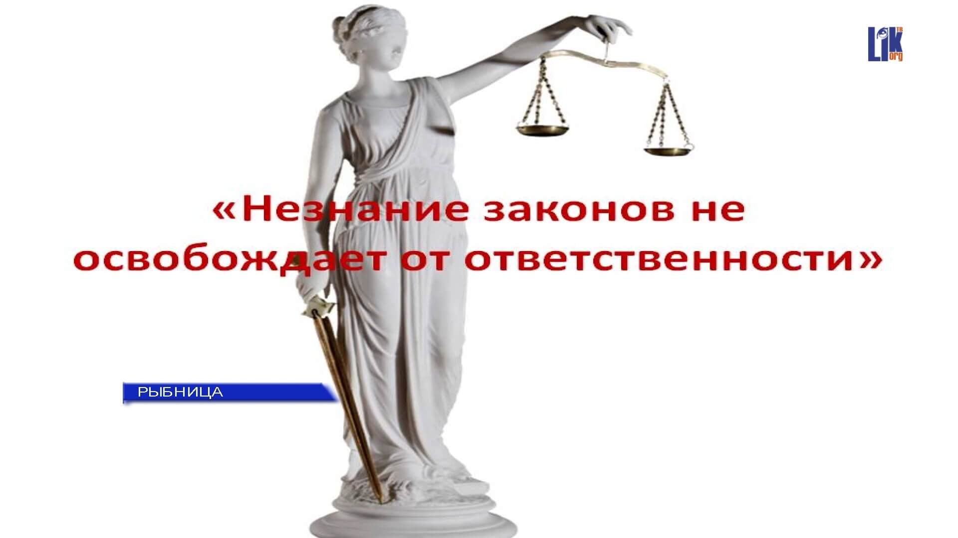 Закон не освобождает от ответственности. Незнание закона не освобождает от ответственности плакат. Незнание прав. Незнание экономических законов не освобождает от ответственности.. Плакат yt pyfybt pfrjyf yt jcdj,j;lftn.