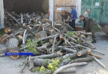 В РЫБНИЦЕ БЕСПЛАТНО РАЗДАЮТ ДРОВА