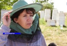 ПРОМЫШЛЕННЫЙ ПОДХОД В ПЧЕЛОВОДСТВЕ