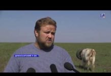 СКАЗ О ТОМ, КАК МНОГОДЕТНЫЙ ОТЕЦ ФЕРМЕРОМ СТАЛ