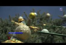 (ВИДЕО) В РЫБНИЦЕ НАРЯДИЛИ ГЛАВНУЮ ЁЛКУ ГОРОДА