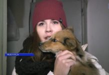 (ВИДЕО) В РЫБНИЦЕ НАЧАЛ СВОЮ РАБОТУ ЦЕНТР СТЕРИЛИЗАЦИИ ЖИВОТНЫХ