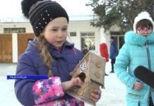 (Видео) ДИЗАЙНЕРСКИЕ КОРМУШКИ ОТ РЫБНИЦКИХ ШКОЛЬНИКОВ