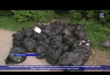 (Видео) ЭКОЛОГИЧЕСКИЙ РЕЙД С АКТИВИСТАМИ ОД «НАРОДНОЕ ДЕЙСТВИЕ»