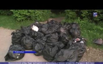 (Видео) ЭКОЛОГИЧЕСКИЙ РЕЙД С АКТИВИСТАМИ ОД «НАРОДНОЕ ДЕЙСТВИЕ»