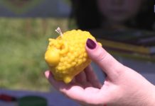 (Видео) ПЧЕЛОВОДСТВО – И БИЗНЕС, И ХОББИ СЕМЬИ ПОРХУН