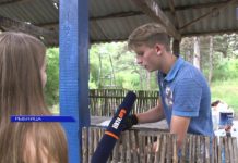 (Видео) «Голливуд» от народного действия