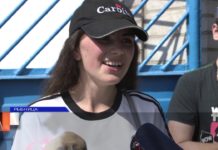 Мы в ответе за братьев наших меньших