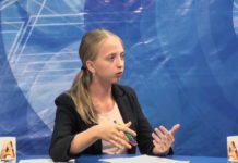 Собственный дом для бродячих собак