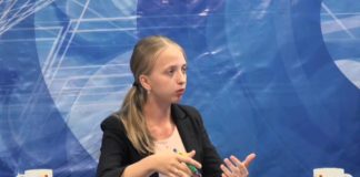 Собственный дом для бродячих собак