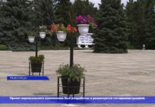 ОЗЕЛЕНЕНИЕ РЫБНИЦЫ, НО УЖЕ ВЕРТИКАЛЬНОЕ