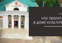 Проект «ПУТЬ К УСПЕХУ» стал вдохновляющим для жителей села Терновка Терновка