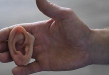 Откусил кусок уха в бою — это по-рыбницки