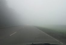 Погода 7 апреля 2023 года в Приднестровье В Приднестровье синоптики прогнозируют туманы