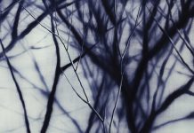 Выставка о влюбленных, переживших Холокост, открылась в Москве Не время для любви. Фото: thewallmagazine.ru