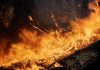 Пожары в Молдове: за минувшие сутки сгорело 236 га Стихийные пожары в Молдове