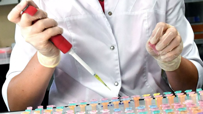 Приднестровье и Молдова будут бороться вместе с коронавирусом Приднестровье и Молдова будут бороться вместе с коронавирусом