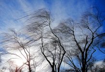 В Приднестровье объявлено штормовое предупреждение В Приднестровье объявлено штормовое предупреждение.