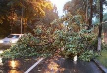 Циклон: как его приход пережили в Приднестровье, Молдове и Украине Непогода