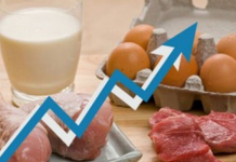 Приднестровские аграрии увеличили производство мяса, молока и яиц Минсельхоз фиксирует рост производства животноводческой продукциист