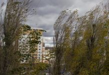 Усиление ветра ожидается в Приднестровье 13 июля Ожидается сильный ветер