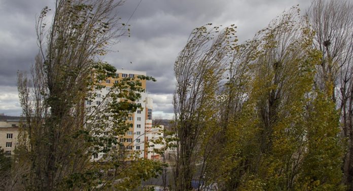 Ожидается сильный ветер