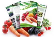 Семена, саженцы: в Приднестровье разрешат торговлю посадочными материалами В Приднестровье разрешат торговлю посадочными материалами