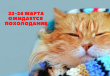 Штормовое предупреждение в Приднестровье: ожидается резкое похолодание Из-за резкого похолодание в республике объявлено штормовое предупреждение