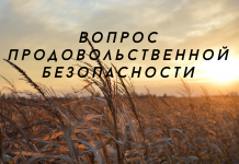 Экспорт пшеницы, ячменя и кукурузы ограничат до августа Экспорт ограничат даже в том случае, если режим чрезвычайного положения будет снят.