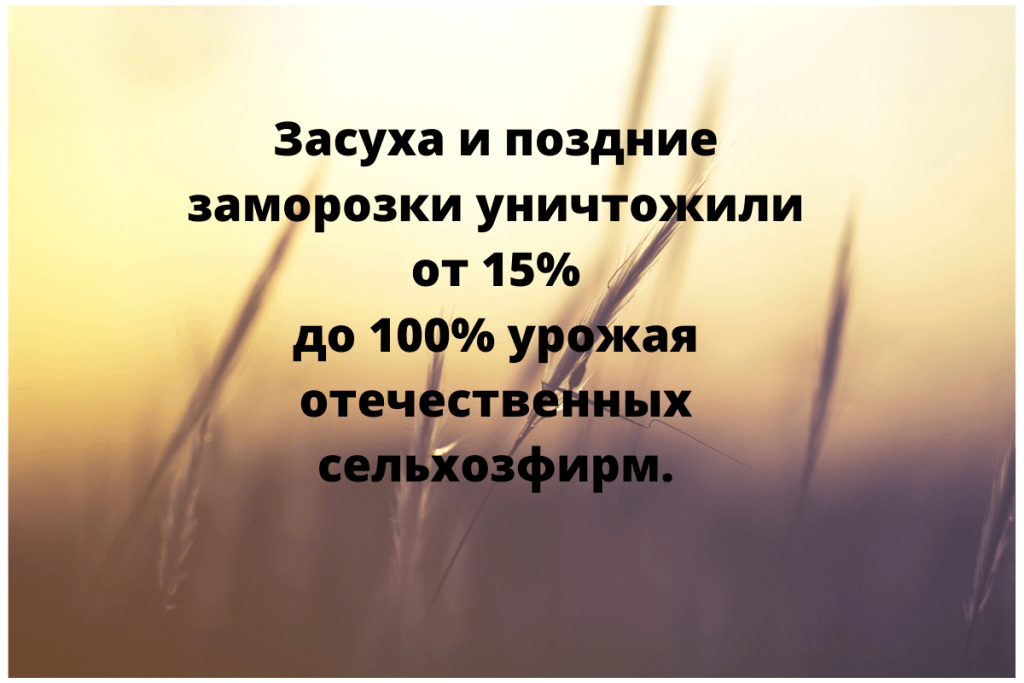 Государство разрабатывает меры поддержки аграриям.