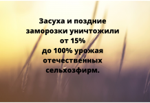 Убытки от засухи и заморозков: какую помощь окажут аграриям в Приднестровье Государство разрабатывает меры поддержки аграриям.