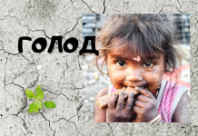 Число голодающих в мире постоянно растëт голод