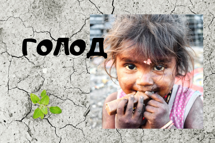 голод