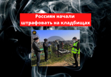Начали штрафовать на кладбищах в России Россиян начали штрафовать на кладбищах