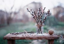 Что такое Вербное воскресенье 2020: приметы, традиции, что можно и нельзя Вербное воскресенье