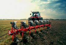 Посевная кампания в Приднестровье: на что надеются землепользователи Землепользователи надеются на урожай кукурузы, подсолнечника и кормовых культур