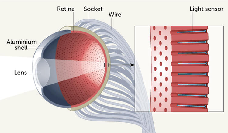 cyborg_eye_two