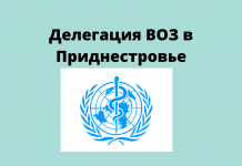Представитель ВОЗ посетил Кризисный центр в Приднестровье Делегация ВОЗ в Приднестровье.