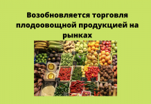 2 июня в Республике возобновится торговля плодоовощной продукцией на открытых площадках и рынках По решению Оперштаба от 28 мая 2020 года со 2 июня разрешается торговля плодоовощной продукцией на открытых площадках и рынках